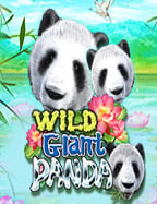 maxbet ด ไหม? มาดูข้อมูลกันเล้ยย!